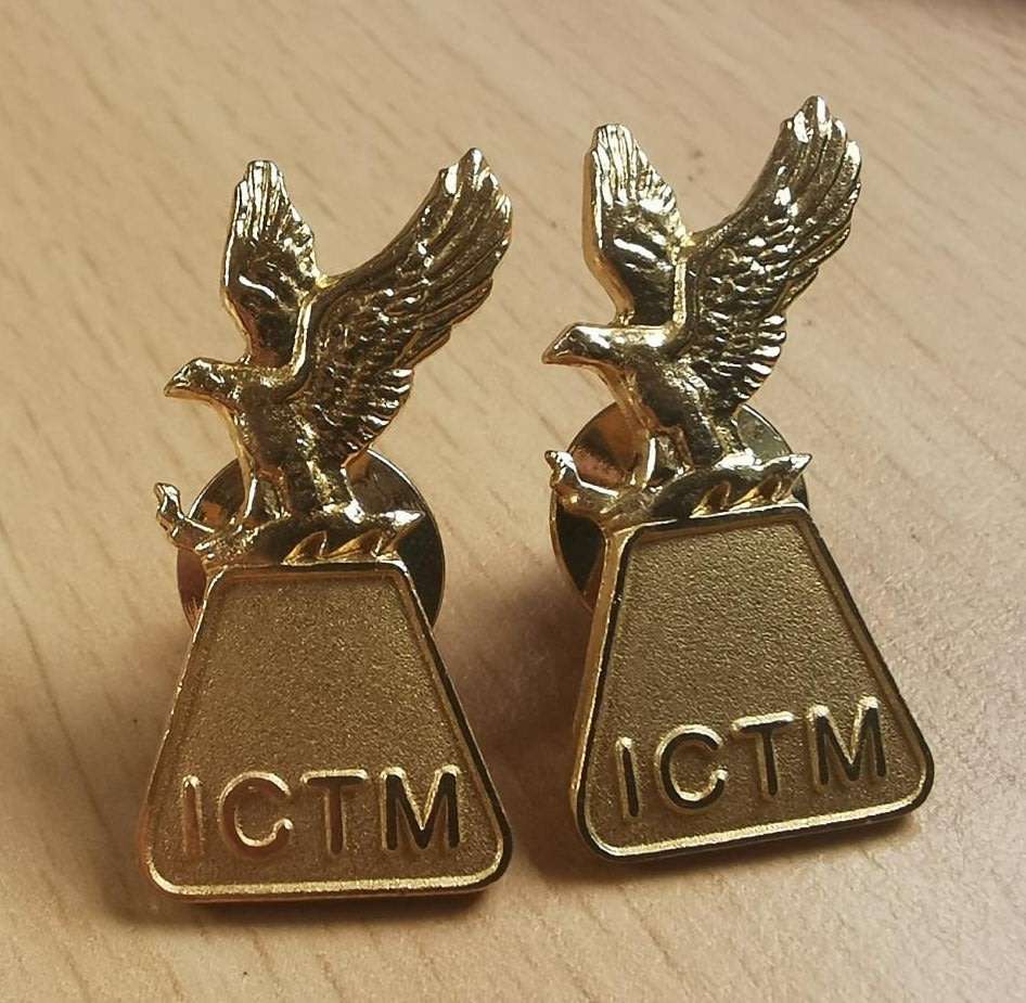 Pair of pin badges ICTM eagle with lightning bolt - Ciskei?