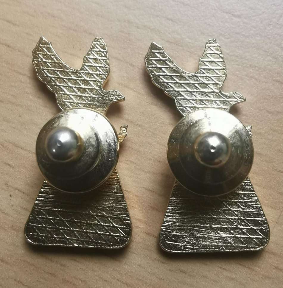 Pair of pin badges ICTM eagle with lightning bolt - Ciskei?