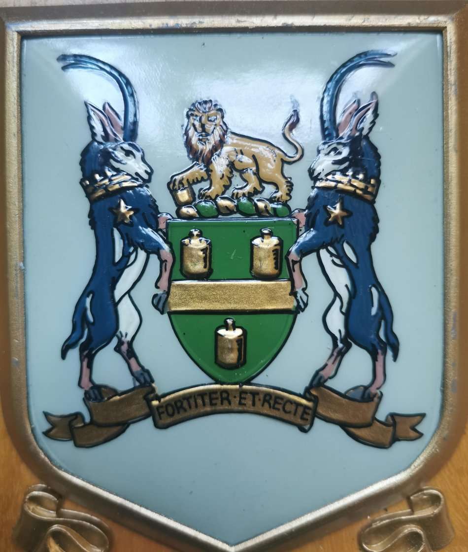 Vintage Johannesburg coat of arms plaque