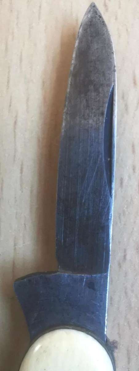 Vintage Richartz Bros and Sons of Solingen 2-blade pocket knife