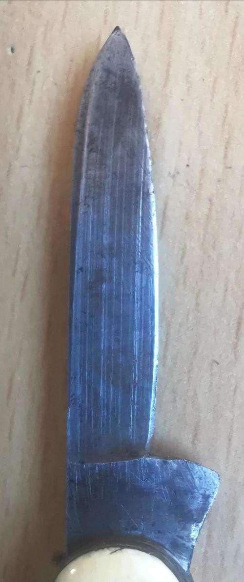 Vintage Richartz Bros and Sons of Solingen 2-blade pocket knife