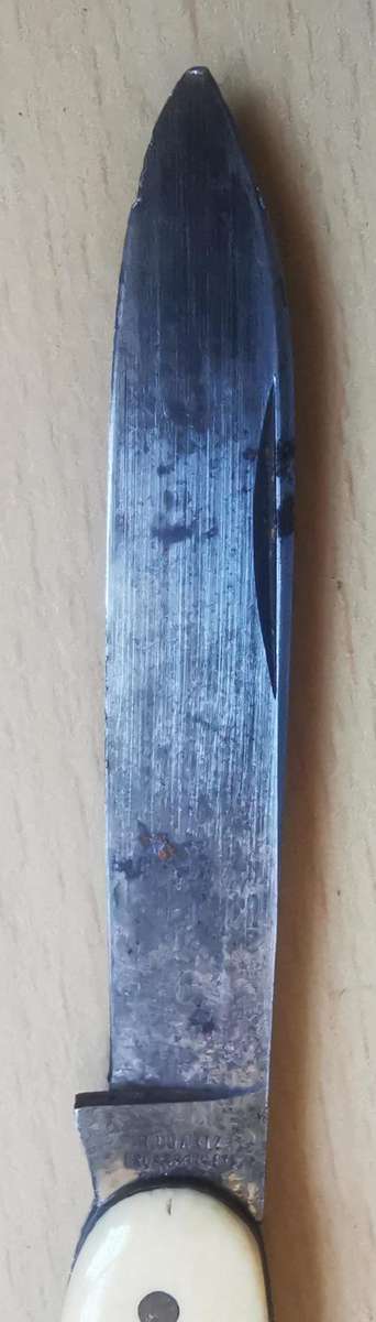 Vintage Richartz Bros and Sons of Solingen 2-blade pocket knife