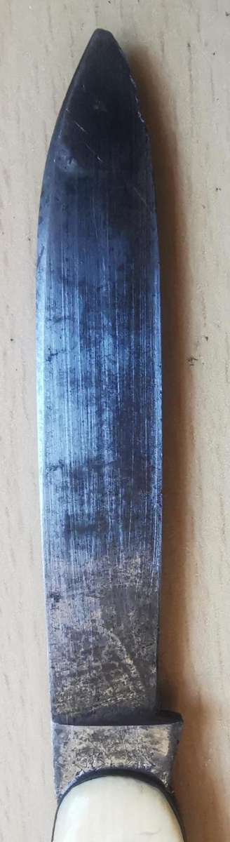 Vintage Richartz Bros and Sons of Solingen 2-blade pocket knife