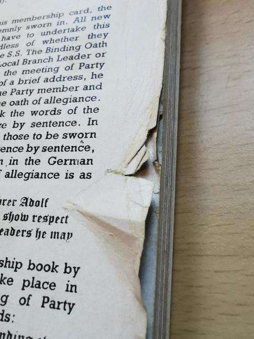 English extract of the Handbook of the Nazi Party (Organisationsbuch der NSDAP) + infantry weapons