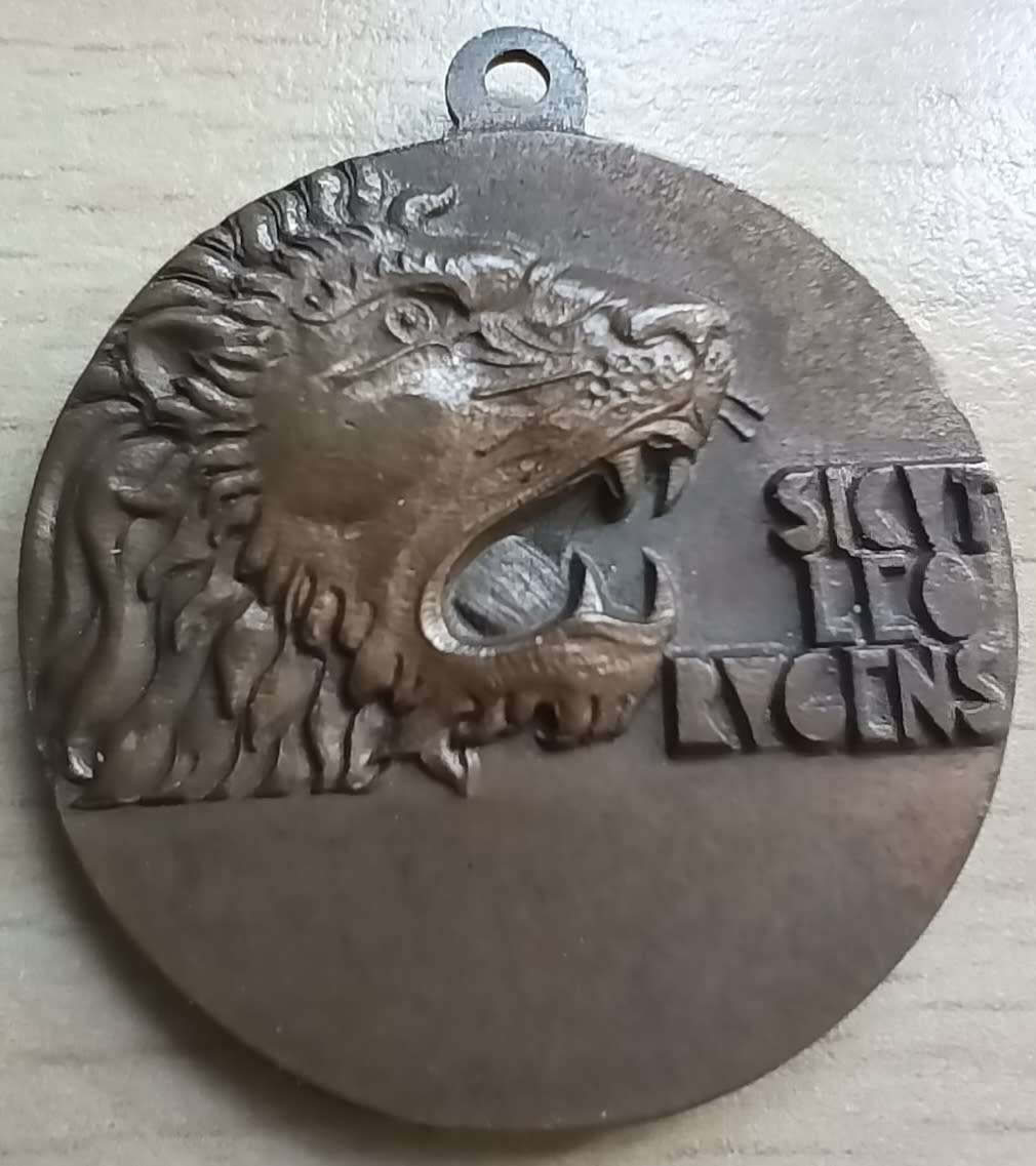 Italy rare 10th Colonial Brigade East Africa medal