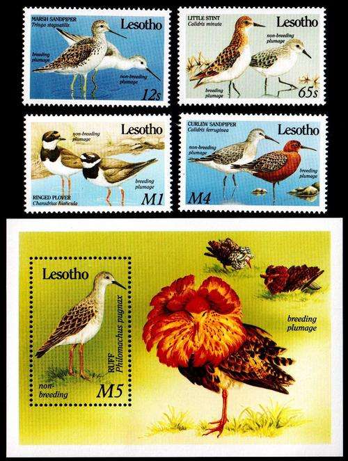 Lesotho set of 4 mint stamps Birds 1989 + FREE SOUVENIR SHEET - bid per stamp to take all