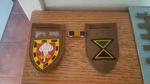 Infantry Unit Flashes and Pin