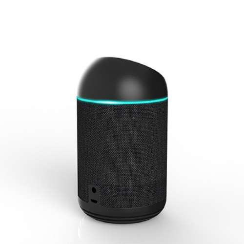 Smart Alexa Enabled Speaker
