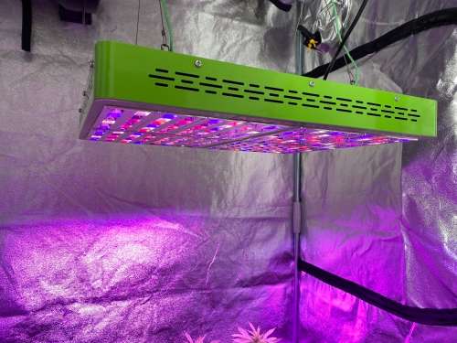 Mars Hydro Grow Light