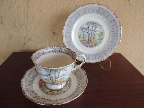 ROYAL ALBERT TRIO - SILVER BIRCH, MINT CONDITION!