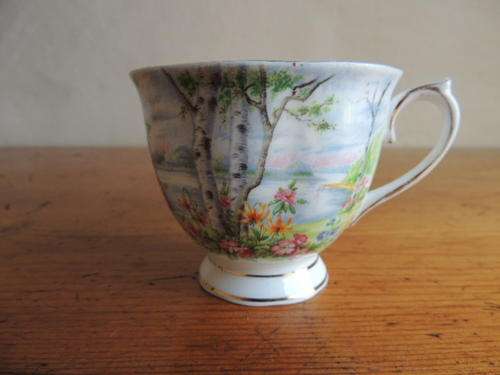 ROYAL ALBERT TEA CUP - "SILVER BIRCH"