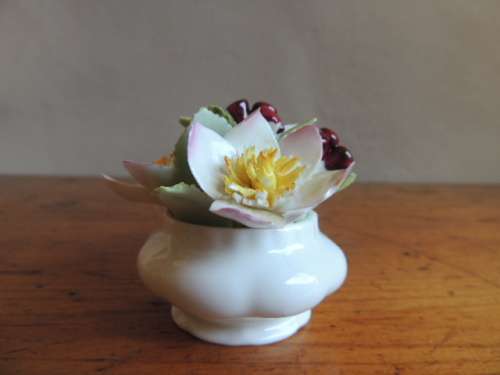 ROYAL ALBERT POSY - FLOWERS OF THE MONTH " CHRISTMAS ROSE "