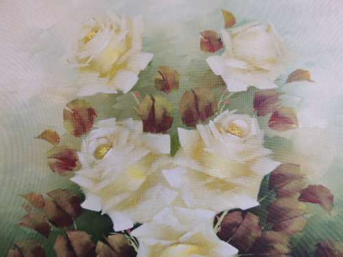 JEANETTE DYKMAN OIL ON BOARD - CREAM ROSES