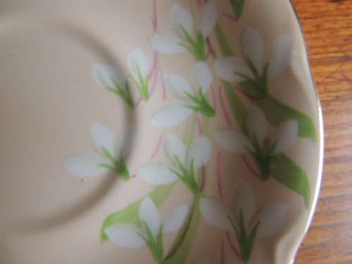 ROYAL ALBERT TRIO - "LAURENTIAN SNOWDROP"