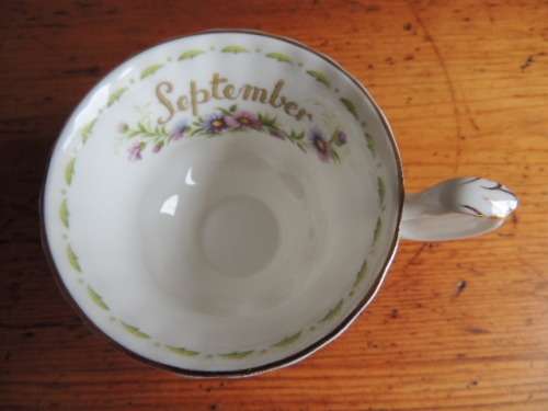 ROYAL ALBERT DUO - FLOWERS OF THE MONTH SERIES, SEPTEMBER "MICHAELMAS DAISY"