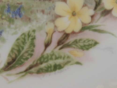 ROYAL ALBERT PLATE FROM THE COTTAGE GARDEN YEAR SERIES - "SPRING"