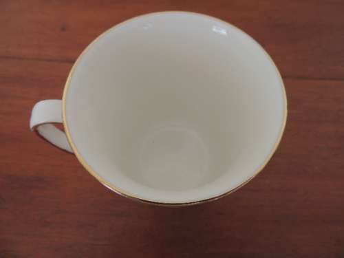 ROYAL ALBERT MUG - "MOSS ROSE"