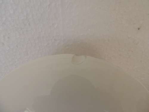 ROYAL ALBERT COFFEE DUO - "OLD COUNTRY ROSES"