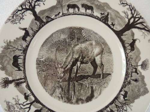 WEDGEWOOD RACK PLATE - WATERBUCK
