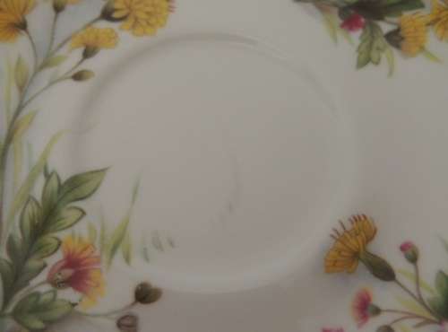 ROYAL ALBERT TEA SAUCER - " MEADOW FIELD"