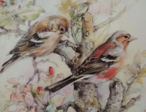 ROYAL ALBERT PLATE - GARDEN BIRDS SERIES " CHAFFINCH "