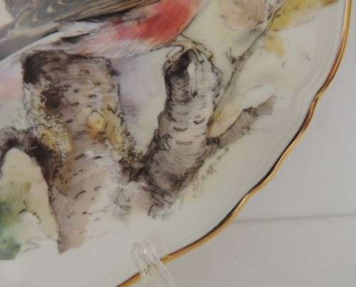 ROYAL ALBERT PLATE - GARDEN BIRDS SERIES " CHAFFINCH "