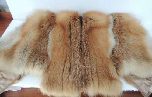 FOX CAPE WITH DUST JACKET - ABSOLUTELY GORGEOUS