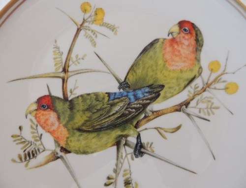 HERITAGE COLLECTION BEAUTIFUL BIRDS OF SOUTH AFRICA'S WILDS - ROSY FACED LOVE-BIRD