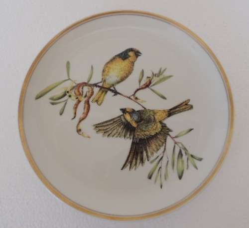 HERITAGE COLLECTION BEAUTIFUL BIRDS OF SOUTH AFRICA'S WILDS - CAPE CANARY