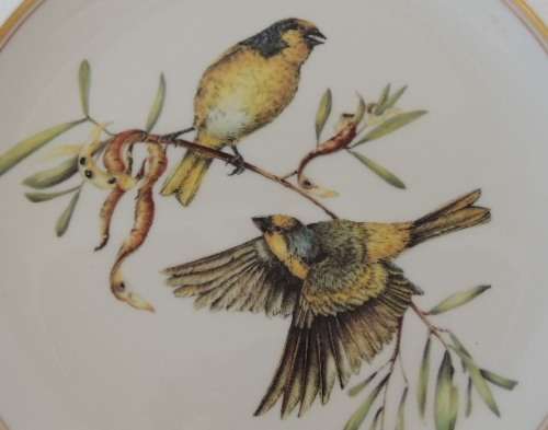 HERITAGE COLLECTION BEAUTIFUL BIRDS OF SOUTH AFRICA'S WILDS - CAPE CANARY