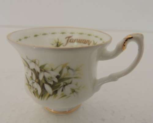 ROYAL ALBERT MINIATURE FLOWER OF THE MONTH DUO - JANUARY