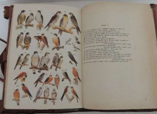 ROBERTS BIRDS OF SOUTH AFRICA LEATHER BOUND BOOK - McLACHLAN & LIVERSAGE
