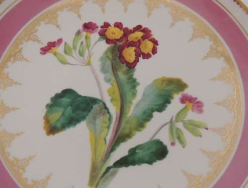 19TH CENTURY FRUIT BOWL - "POLYANTHUS" - SIMPLY EXQUISITE