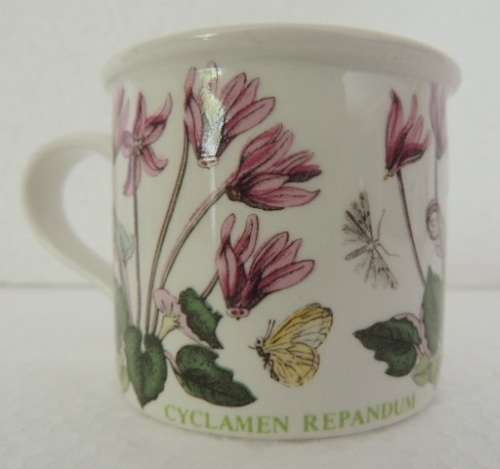 PORTMEIRION COFFEE DUO - THE BOTANIC GARDENS