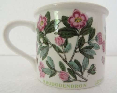 PORTMEIRION COFFEE DUO - THE BOTANIC GARDENS