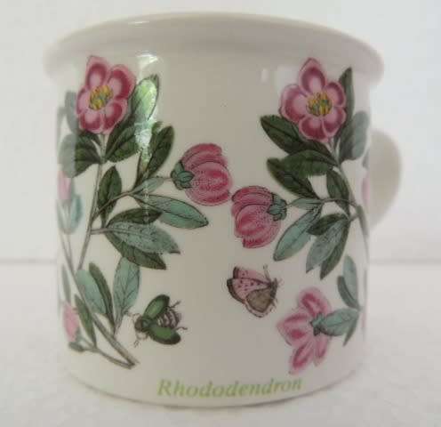 PORTMEIRION COFFEE DUO - THE BOTANIC GARDENS