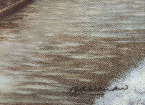 Davenport Limited Edition Plate - `WINTER GREETING` (Price reduced)