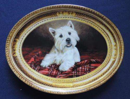 Franklin Mint West Highland White Terrier Plate - MASTER OF THE TARTAN