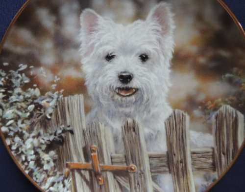 Danbury Mint WESTIES Collector`s Plate - MAY I COME IN?