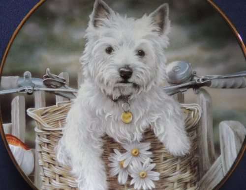 Danbury Mint WESTIES Collector`s Plate - HITCHING A RIDE