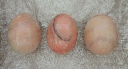 Magnificent Collection Of Gemstone Eggs