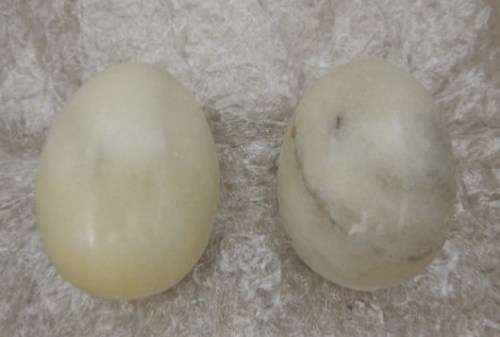 Magnificent Collection Of Gemstone Eggs