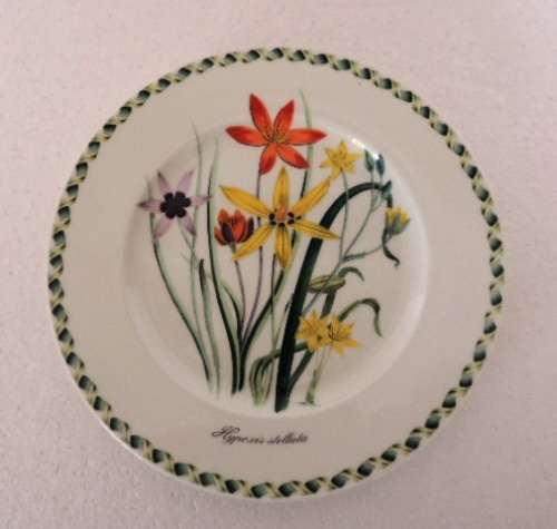 Portmeirion Ladies Flower Garden Plate 21.5 cm (Hypnoxis Stellata) RESERVED FOR PIETER