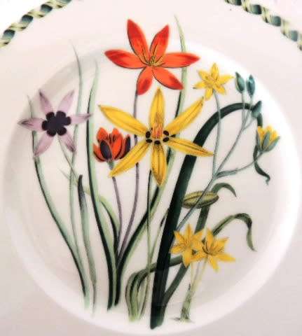 Portmeirion Ladies Flower Garden Plate 21.5 cm (Hypnoxis Stellata) RESERVED FOR PIETER