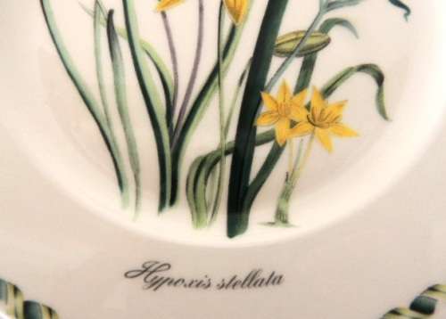 Portmeirion Ladies Flower Garden Plate 21.5 cm (Hypnoxis Stellata) RESERVED FOR PIETER