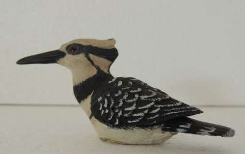A Piece Of Africa - Pied Kingfisher