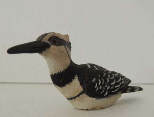 A Piece Of Africa - Pied Kingfisher