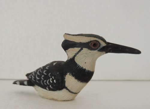A Piece Of Africa - Pied Kingfisher