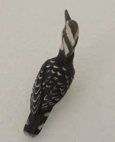 A Piece Of Africa - Pied Kingfisher