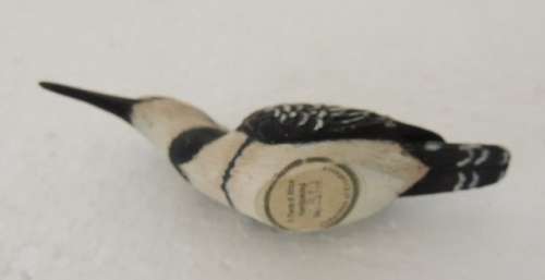 A Piece Of Africa - Pied Kingfisher